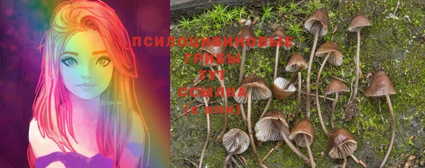 гашиш Михайлов