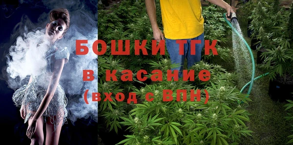ECSTASY Медногорск