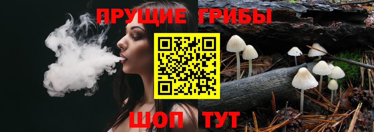 Галлюциногенные грибы мухоморы  Родники 