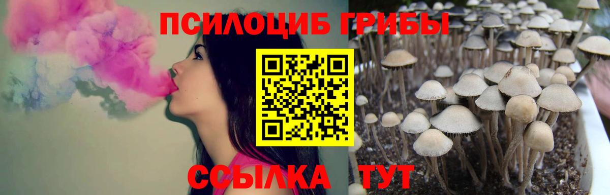 Родники  Галлюциногенные грибы Magic Shrooms  наркота  Вход с VPN 